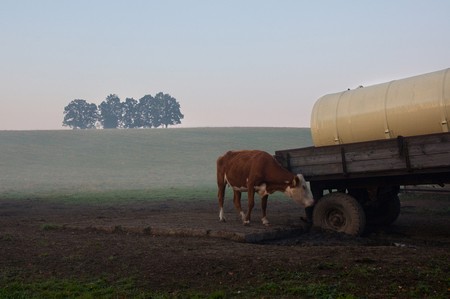 04_V krajině 8